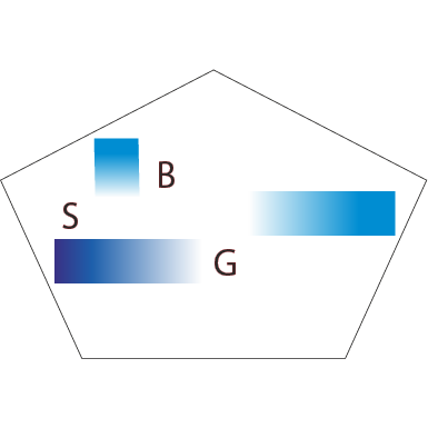 Systemhaus Neu-Ulm be-ok-it-solutions-weissenhorn-BSG Logo